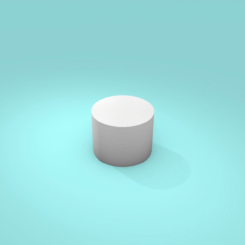 Round Foam Cake Dummy - Foam Cake Dummy