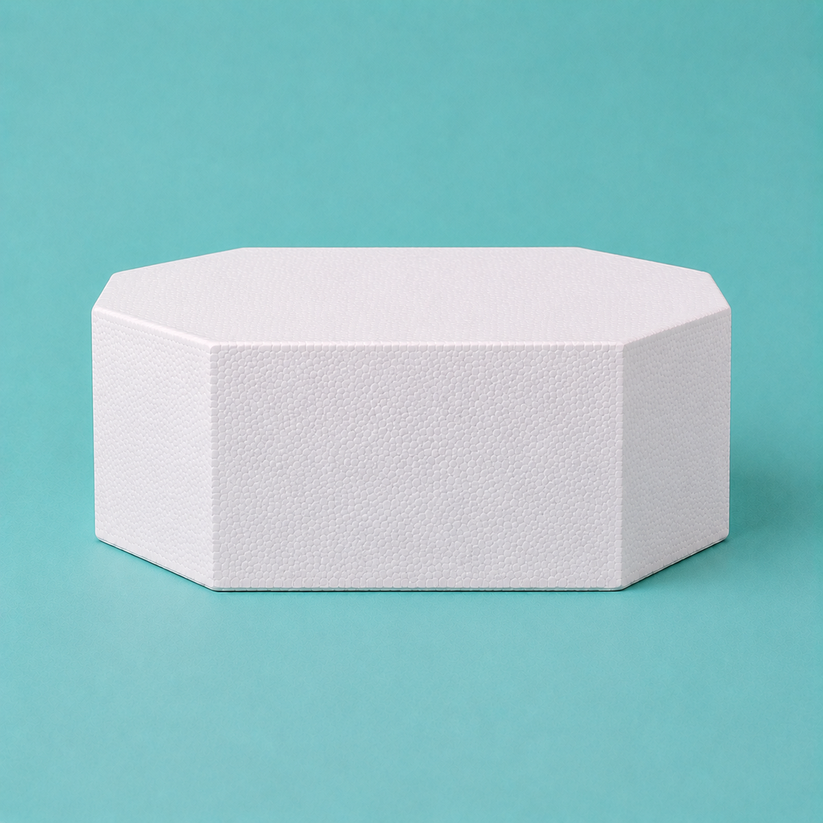 Octagon foam cake dummy 11 inch seen from the front, showing the perpendicular side wall and crisp top rim