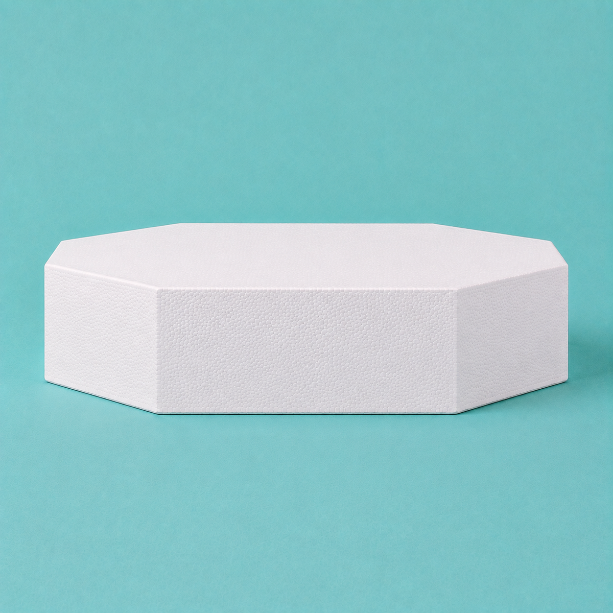 Octagon foam cake dummy 17 inch seen from the front, showing the perpendicular side wall and crisp top rim