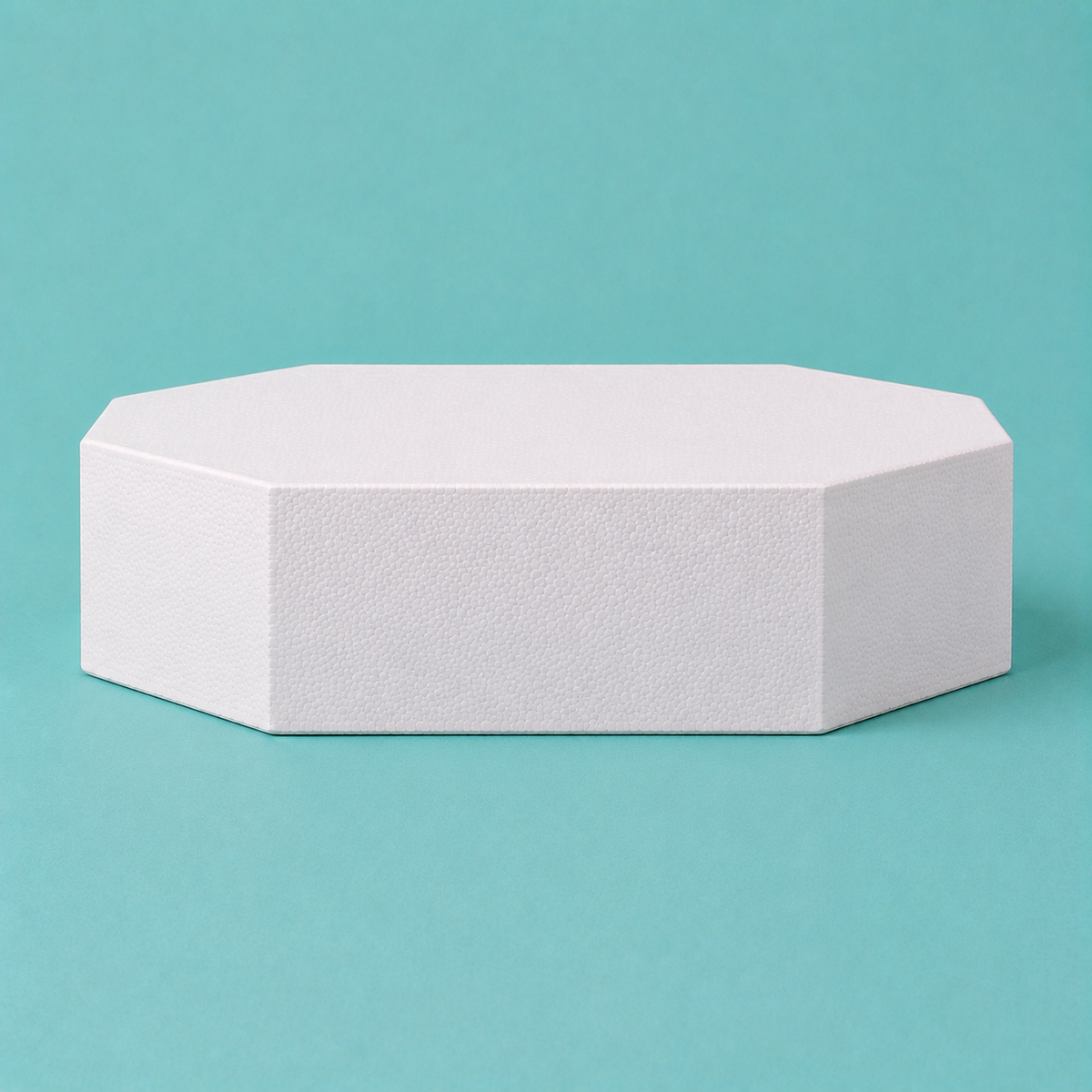 Octagon foam cake dummy 19 inch seen from the front, showing the perpendicular side wall and crisp top rim
