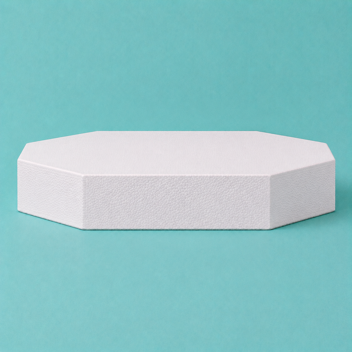Octagon foam cake dummy 20 inch seen from the front, showing the perpendicular side wall and crisp top rim