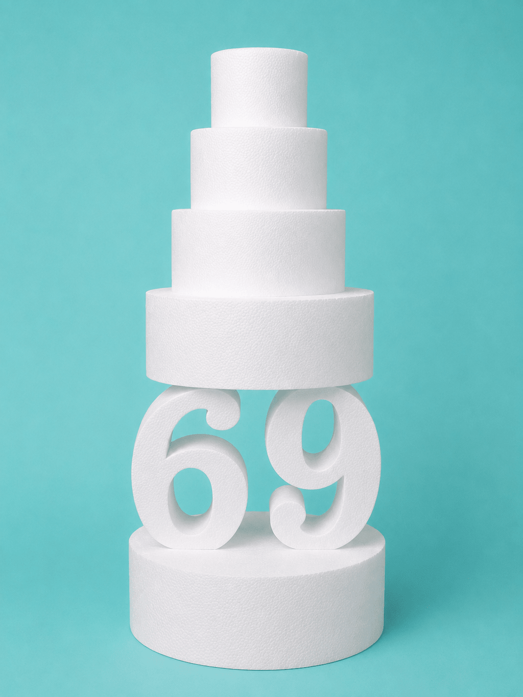 dummyfoam - fakecake - foamdummies - dummysupply - customdummies - rounddummy - customfoam