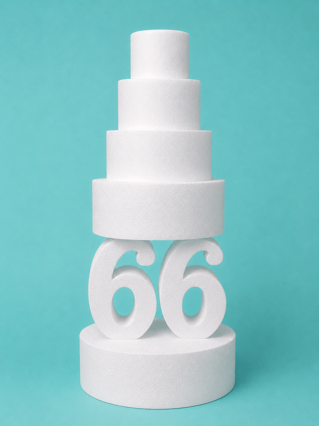 dummyfoam - fakecake - foamdummies - dummysupply - customdummies - rounddummy - customfoam