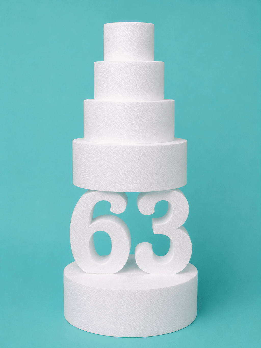 dummyfoam - fakecake - foamdummies - dummysupply - customdummies - rounddummy - customfoam